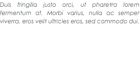 Duis fringilla justo orci, ut pharetra lorem fermentum at. Morbi varius, nulla ac semper viverra, eros velit ultricies eros, sed commodo dui.
