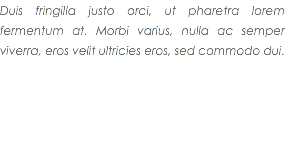Duis fringilla justo orci, ut pharetra lorem fermentum at. Morbi varius, nulla ac semper viverra, eros velit ultricies eros, sed commodo dui.